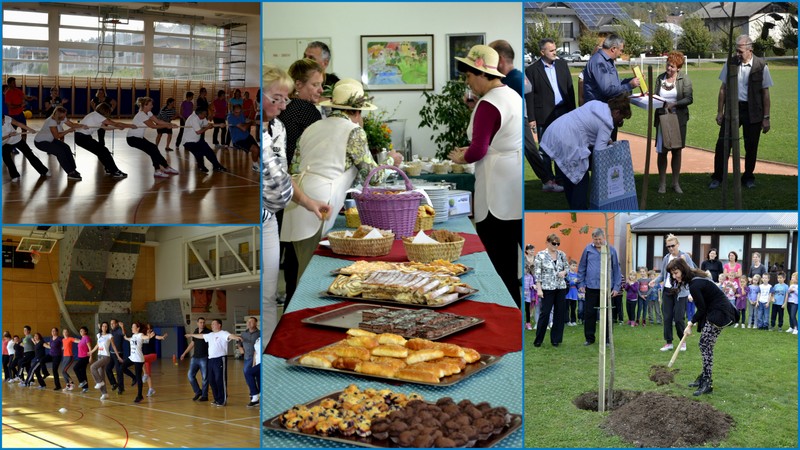 Medkulturna vrvica