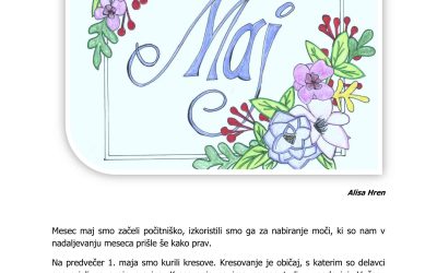 Spletni časopis MAJ